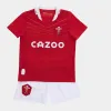 T-shirt 2022 Irlanda per bambini rugby jersey shirt di rugby irlandese camicie magliette 313 anni