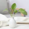 Vasen Simple Style Desktop Hydroponic Vase Creative Mini niedliche Keramik -Samll -Design Gartenpflanze Blumenpot Tabletop