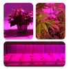 Lumières de culture de lampe de plante LED LED Spectre complet E27 blanc pour les plantes intérieures Growing Garden Fleurs VE