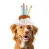 Dog Apparel Pet Hat Birthday Decoration Props Cat Party Jewelry