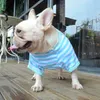 Stripe Stripe French Bulldog Shirt Vêtements de chien pour les petits chiens Summer Chihuahua Tshirt mignon Vente de compagnie de chiot Yorkie 240422