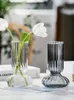 Вазы декоративная бутылка минималистская домашняя стеклянная стеклянная гидропоническая полоса столовая настольная орнамент ваза мебель геометрия цветочная стеклянная посуда
