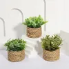 SIA FLOWER Green Artificial Plants Eucalyptus Grass Woven Small Potted Mound 11cm PE Material Home Decoration 240411