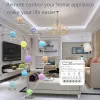 CONTROLLO AXUS EU 10A Mini RF 433MHz Interruttore wireless fai -da -te smart fai -da -te 110 V 220 V Ricevitore MODULO Supporto elettrico Supporto a 2 vie Controllo Home Lampada