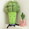 Poupées 1pc 55/65 cm dessin animé légume en peluche jouet créatif brocoli coussin oreiller enfants