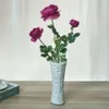 植木鉢白いセラミック花瓶バスケットフラワーズ花瓶の装飾ホームノルディックリビングルームテレビキャビネット装飾s