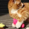 Giocattoli denti che macinano giocattoli catnip divertenti gatto peluche interattivo gattino gattino masticare artigli vocali per gatto per gatti