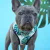 Harnesses French Bulldog Dog Harness Printed English Bulldog Frenchie Reversible Harness Puppy Small Dogs Vest for Pug Walking Training
