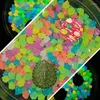 Garden Decorations 100Pcs Luminous Stones Home Aquarium Landscaping Glow In The Dark Pebbles