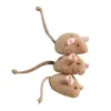 Toys 3pcs pour animaux de compagnie chaton jouant