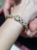 Strands 925 Silver Goldplated Diamond Leopard Head Bracelet, Europeu e American Highend Feminino Fashion Brand Jewelry Gift