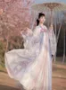 Gelegenheitskleider chinesischer Stil Retro antikes Temperament sanftes exquisites Original Hanfu Langarm gedruckt gestickeltes Kleid