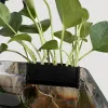 Acquari 110pcs Acquario Plant Cultivazione Plant Cultivation Cultivation con rastrelliere per decorazioni per ganci integrati per acquario in vaso in vaso in vaso Acquario vivo