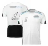Erkek Tişörtleri F1 T-Shirt Formül 1 Takım T-Shirts Kısa Kollu Yarış Fanları Yaz Gündelik Hızlı Kuru T-Shirt Açık Ekstrem Spor Jersey Gömlek LW8U