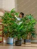 Fleurs décoratives Bamboo Palme Tournesol Plant plante intérieure en pot vert bionique artificiel Décoration d'aménagement paysager