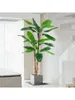 Dekoracyjne symulacje symulacji drzewa bananowca Wysokiej jakości tropikalne zielone centrum handlowe Dekoracja wnętrza duże fałszywe drzewa ozdoby