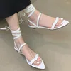 Scarpe casual 2024 Calzature femminili legate da donna gladiatore sandali moderni infrasoli flops modalità donna cavo sandalo