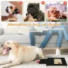 Clippers Dog Nail Scratch Board with Builtin Treat Box Wooden Puppy Nail Grinding Pad Dog Nail File Board Sandpaper Board Scratcher