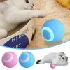 Giocattoli per gatti elettrici giocattoli USB USB Ricaricabile ricaricabile Abs Abs Abs Intelligent Rolling Toy Ball per Kitten Dog che gioca Accesso di giocattoli