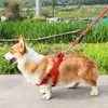 Colliers de chien 1pcs 1,8 m de plus longs puissants pour animaux de compagnie Réflectif