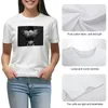 Women's Polos Tour 2024 In Music Hall Of Williamsburg T-shirt Anime Clothes Cute Tops Tshirts Woman