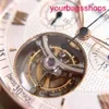 AP Titanium Watch 18K Rose Gold Chronograph Tourbillon Automatic Mechanical Mens Watch 26010OR.OO.D088CR.01