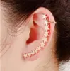 1 PC NY DESIGN STAR STJÄRGörhängen Ear Long Earrings Ear Clip Crawler Fashion Jewelry Accessories Gifts For Women Girls3079131