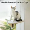 Giocattoli per gatti amata potenti aspirazioni di aspirazione per gatto giocattoli per le letti da arrampicata da gattino e mobili per gatti graffi