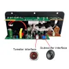 Förstärkare Bluetooth Audio Amplifier Board 100W Digital Subwoofer Dual Microphone amp -modul för 48 ohms högtalare för hemmabil 110V/220V