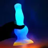 Zwfun nuovo dildo illuminante per donne giocattoli anali sesso colorato dildo up dildo per uomini realistici dildo plug coach plug toys