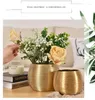 Jarrones Arreglo de plantas doradas Casas para el hogar Cercelana Cercelana Cercelana Nordic Round Vase Decoración cepillada Golden