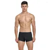 Underpants 1 pcs/lotto uomo sexy biancheria bianche da uomo pugile comode mutandine nylon man fx014