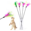 Wand Feather Acrylic Toys Cat Kitten Cats Teaser Turkiet Interactive Stick Toy Wire Chaser Supplies S