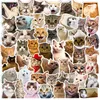 50Pcs Funny Cat Stickers Adorable, Kawaii and Colorful Decals Perfect for Water Bottles, Laptops and phone Motorcycle decals waterproof sticker