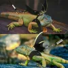 Leveranser Justerbar Reptil Lizard Gecko Skäggig Dragon -sele och koppel för utomhus Pet Chameleon Supplies