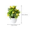 Decorative Flowers Small Artificial Plant Fake Plastic Tree Bonsai Decor Potted Bathroom Faux Indoor Window Tabletop