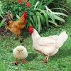 Trädgårdsdekorationer 3 datorer Hen Chick Ground Plug Yard Stakes Decor Simulation Chicken Insert Dekorera