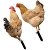 Garden Decorations Decoration Outdoor Signs Decorative Lawn Stakes Animal Chicken Courtyard Ornaments For Patio And