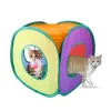 Toys Interactive Cat Intelligence Training Toys Set Funny Selfhey Tunnel Toy Training Plate Tower för Cat Jouet Chat Juguetes Gatos