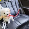 Colliers de chien solide deux en un siège d'auto Lance en laisse arrière-ceinture de sécurité arrière le faisceau réglable pour les chiens de chaton accessoires pour animaux de compagnie