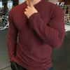 T-shirts Autumn Winter Thin Sweaters Men Long Sleeve Pullover Oneck Solid Slim Fit Sweaters Knitting Tops Fitness Sport Tight Tshirt