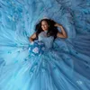 2024 Sky Blue Quinceanera Dresses 3D Flowers Appliques Beading Tull Sequin Ball Gowns Princess Graduation Vestidos DE 15 ANOS