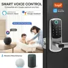 Control Tuya Wifi Puerta de huella digital Lock Ttlock Bluetooth Biométrico Electronic Smart Lock Digital Keypad RFID Cierro de puerta sin llave sin llave