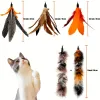 Toys 6 pcs jouet chat plume remplacement de chat de chat recharge des plumes d'oiseau naturel, plumes de remplacement jouet pour chats pour chats intérieurs