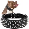 2 pouces de large du crâne à pointes en cuir clouté en cuir grand collier pour chiens pour les races moyennes Pitbull Mastiff Boxer Bully Harned 240418