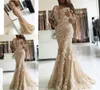 2017 Elegant Champagne Lace Mermaid Evening Dresses Half Sleeve Open Back Prom Dress Long Formal Party Gowns4826914