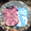 Stripe Stripe French Bulldog Shirt Vêtements de chien pour les petits chiens Summer Chihuahua Tshirt mignon Vente de compagnie de chiot Yorkie 240422