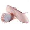 Dance Shoes Women's Summer Slippers Woman Danseuse Canvans Professional Ballet Dancers For Girls Female