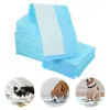 Pañales 50/100pcs Pet Pad Diaper Dog Training Pee Pee almohadillas de entrenamiento de mascotas súper absorbentes PEE PEE PET MAS