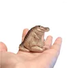 Figurines décoratifs State Garde à la main Gift Home Decoration Baby Crocodile Animal Statues Sculptures Chunky Pond Crafts